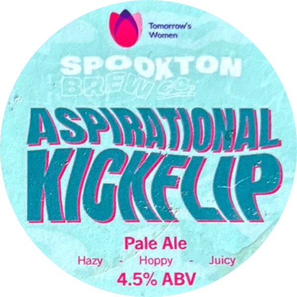 Aspirational Kickflip